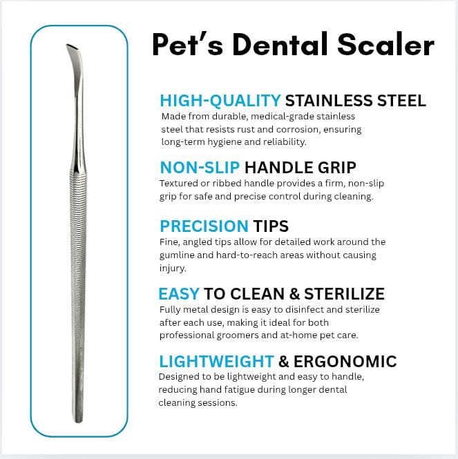 Double-Sided Pet Dental Scaler – Stainless Steel Tartar Remover Tool for Dogs & Cats | Non-Slip Grip & Precision Tips