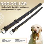 Handmade Real Leather Dog Collar – Padded & Adjustable | Ideal for Medium Dogs | Durable & Stylish